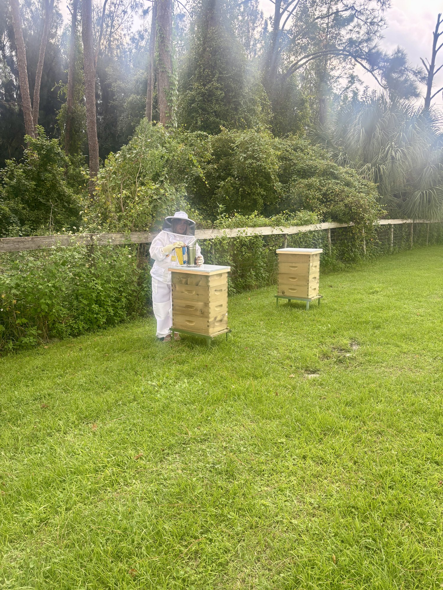 A beekeeper tending the hives at Lambruschini’s Ranch