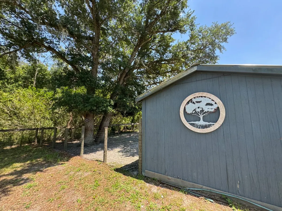 A quiet view across the ranch backyard