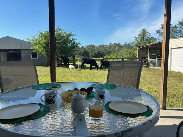 Another view of the ranch patio