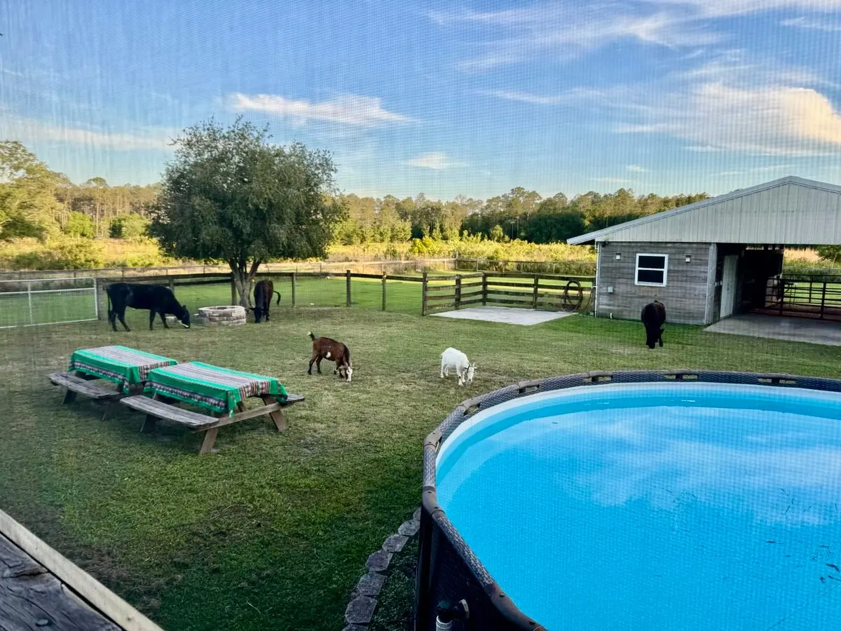 Pool and outdoor gathering space