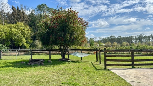 A quiet corner of Lambruschini’s Ranch